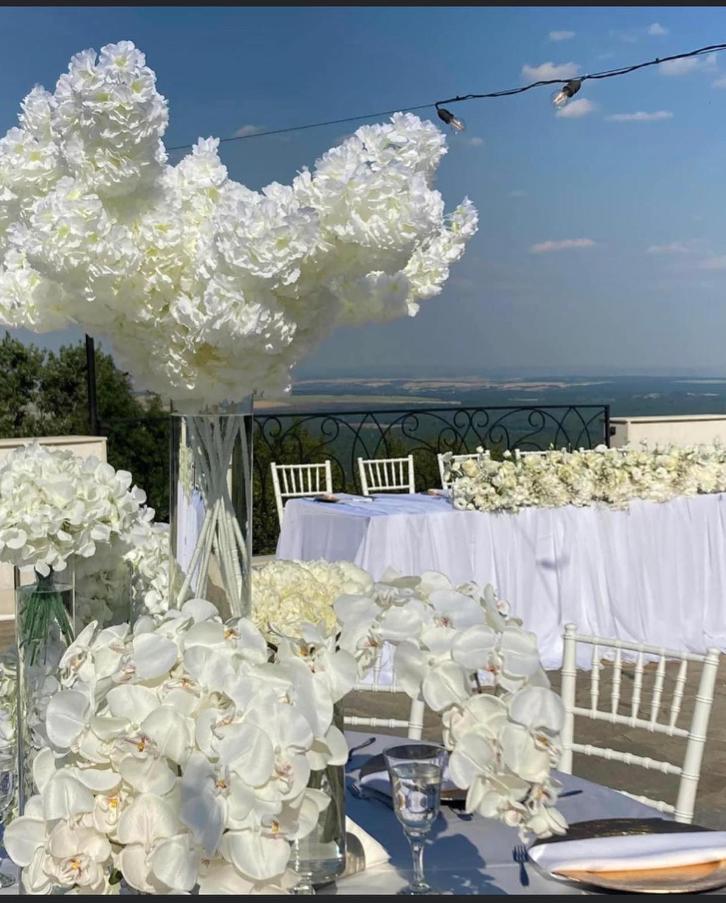 Вила Белисима, Villa Bellissima Bryastovo  Екстер'єр фото